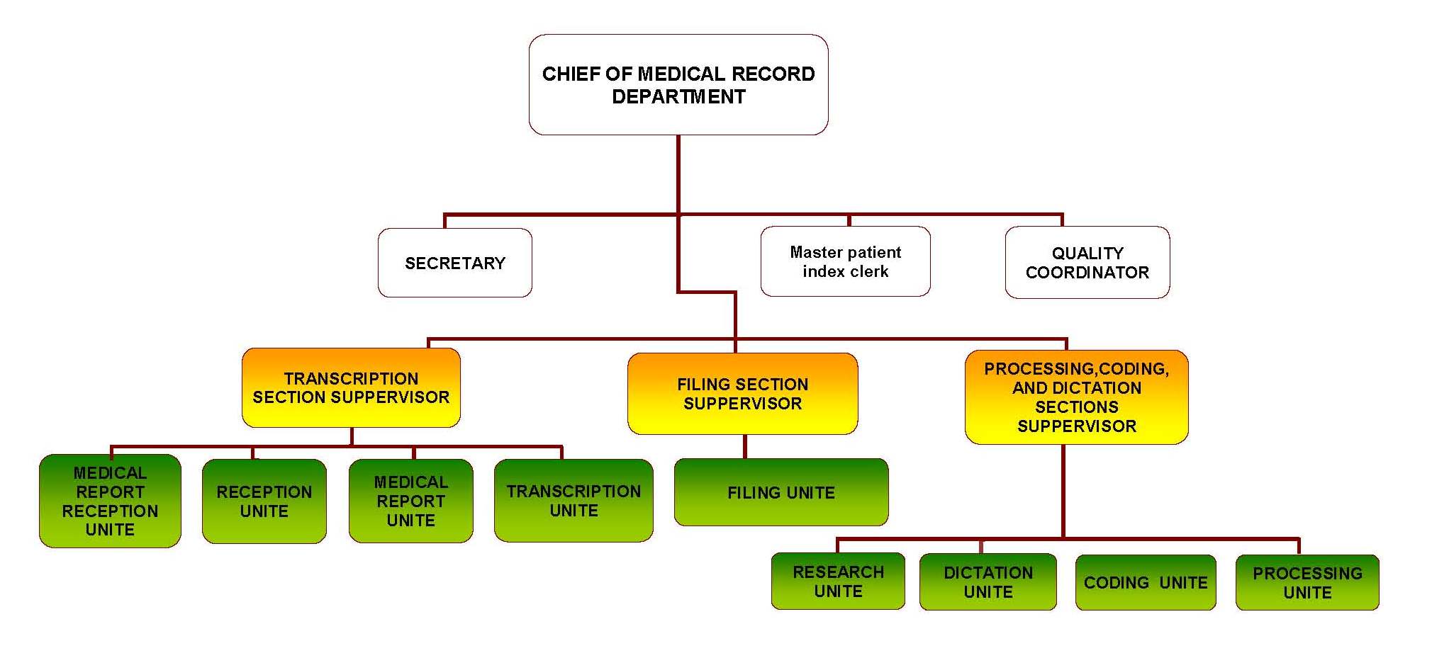 kau-hospital-mrd-organizational-structure